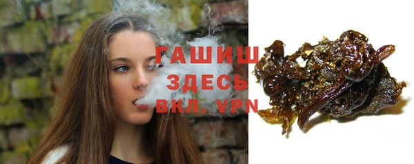 PSILOCYBIN Алзамай