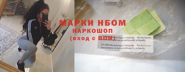 PSILOCYBIN Алзамай