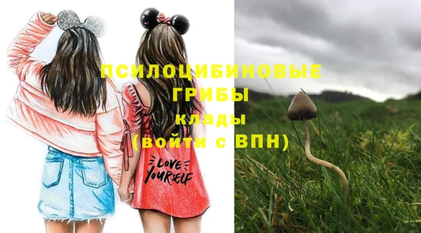марки nbome Алексеевка